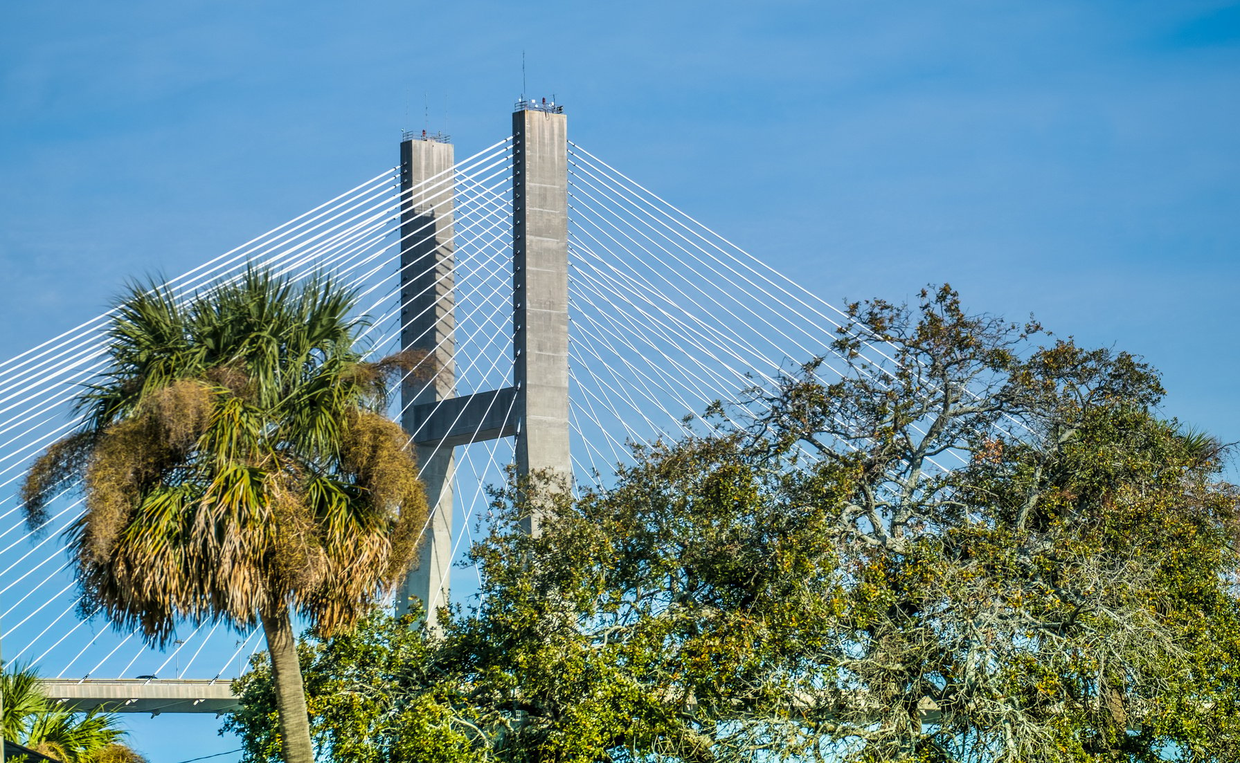 Talmadge Memorial Bridge over the Savannah River in Savannah, GA, USA